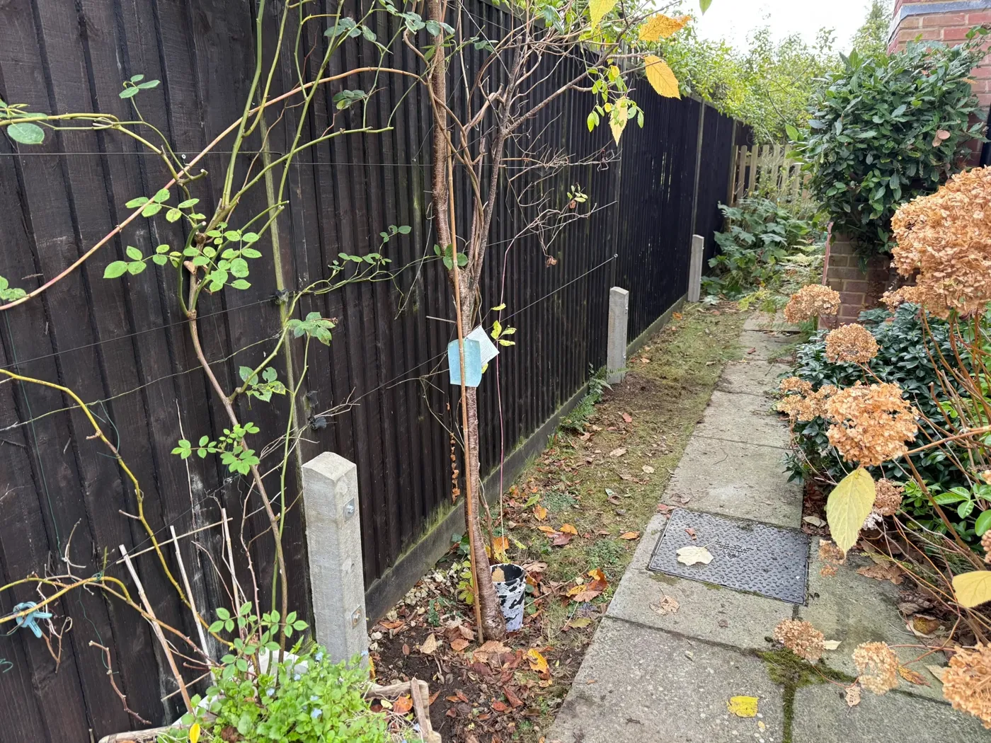Fence repair work underway on a damaged garden boundary in Guildford