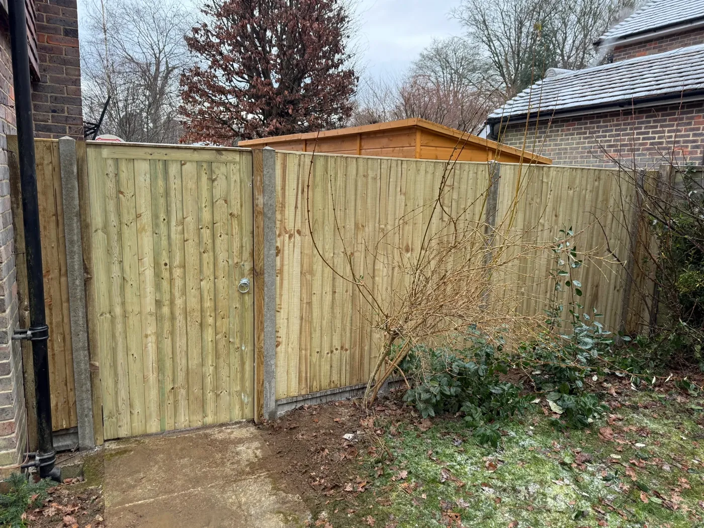 Garden fence panels replaced along a side boundary