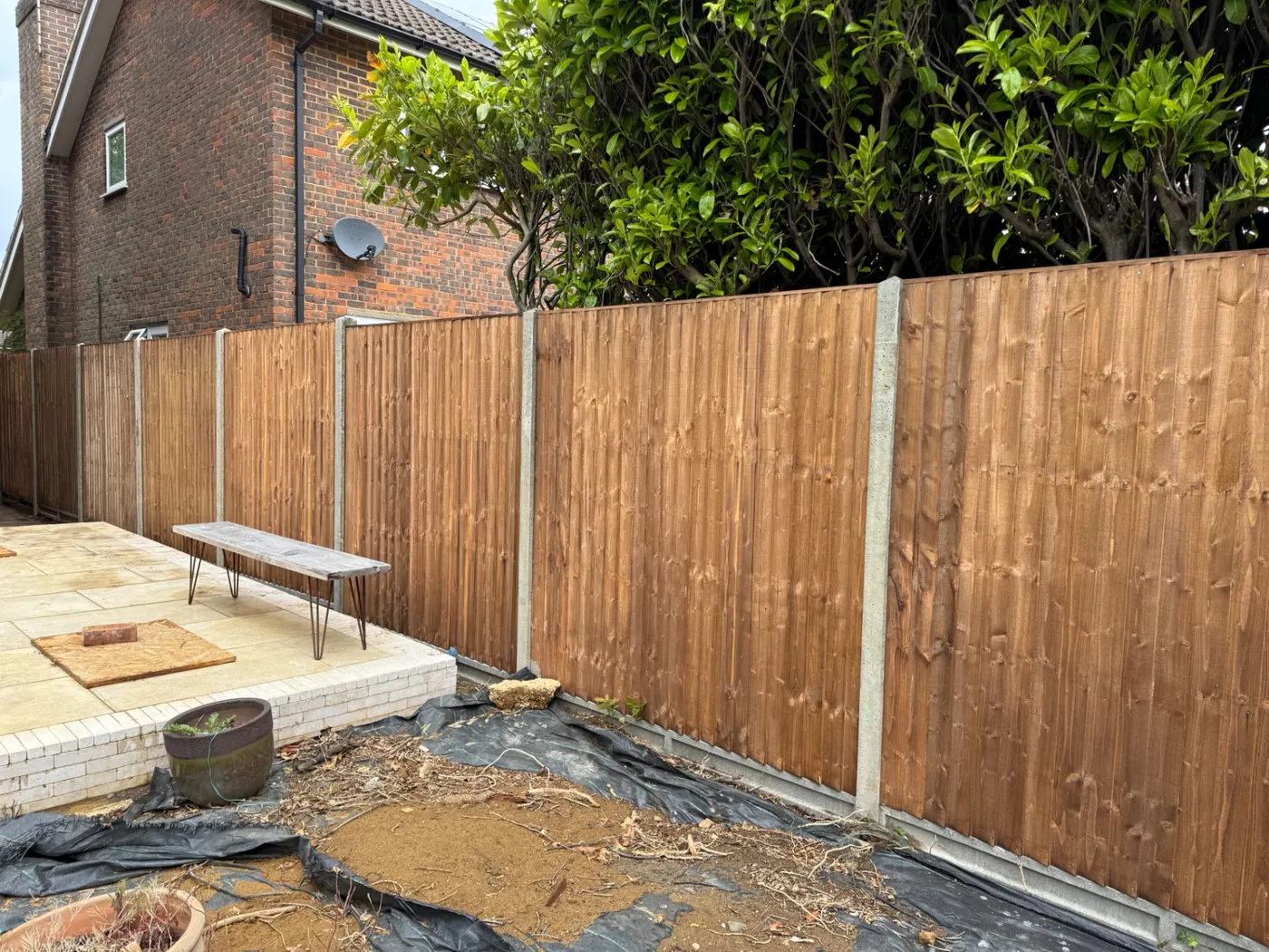 Feather edge fence panels with concrete posts in a rear garden